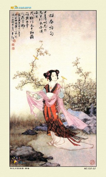 Hua китайский