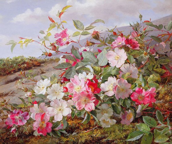 Художник William Jabez Muckley (1829–1905).