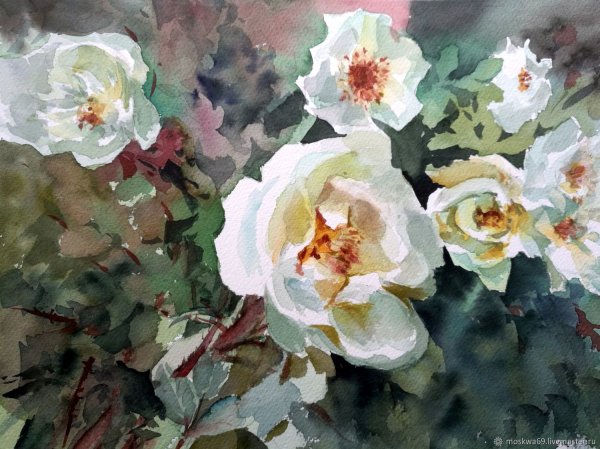 Акварели Волошина шиповник