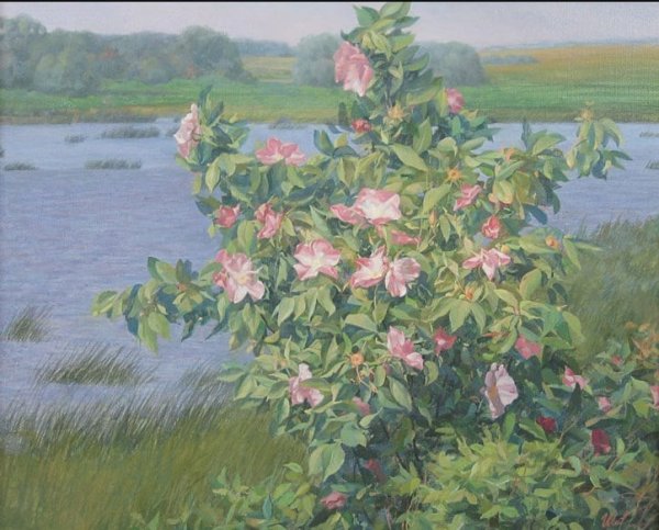 Куст шиповника акварель