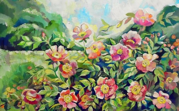 Куст шиповника маслом