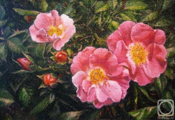 Шиповник пастелью