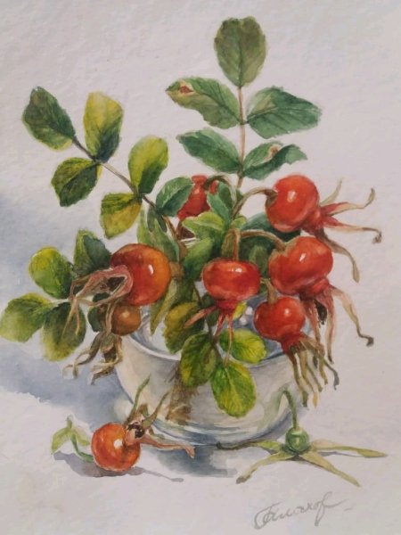 Художник Антонио Морано веточка шиповника