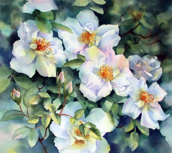 Энн Мортимер цветы в акварели