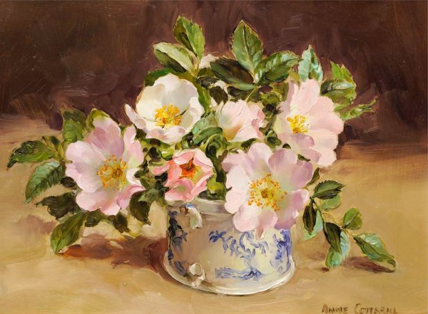 Цветы Anne Cotterill