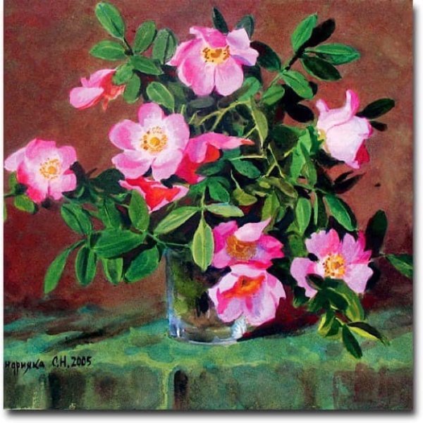 Андрияка шиповник