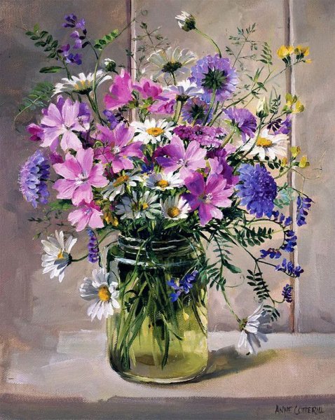 Цветы Anne Cotterill