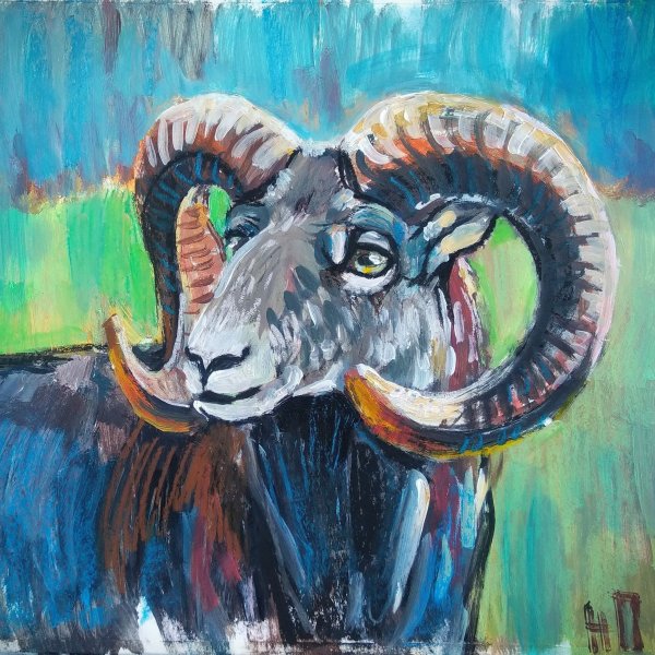 Портрет барана