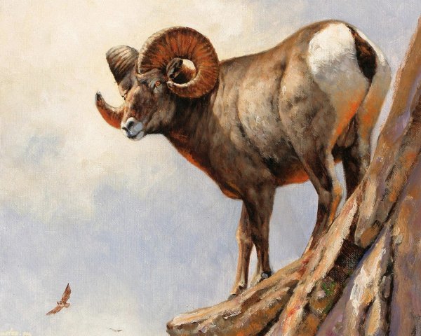 Живопись горного барана Архара