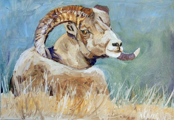 Живопись горного барана Архара