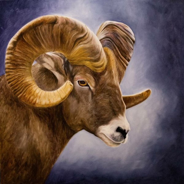 Голова барана