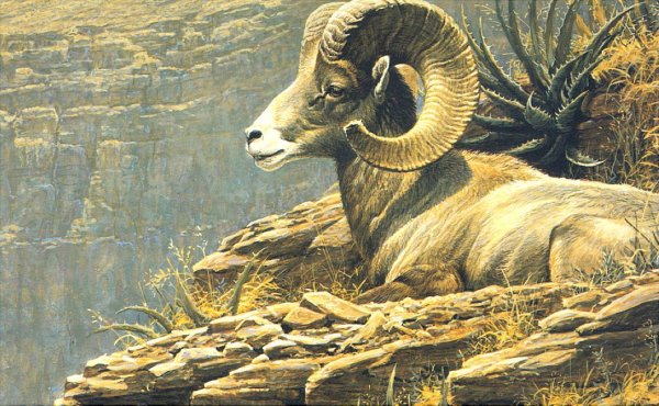 Картины животных акварелью