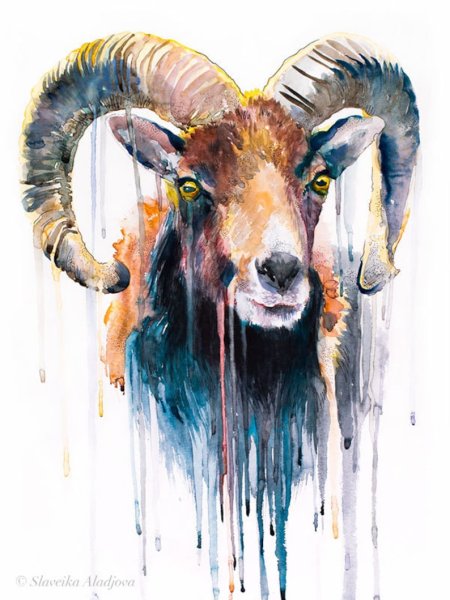 Барашек картина