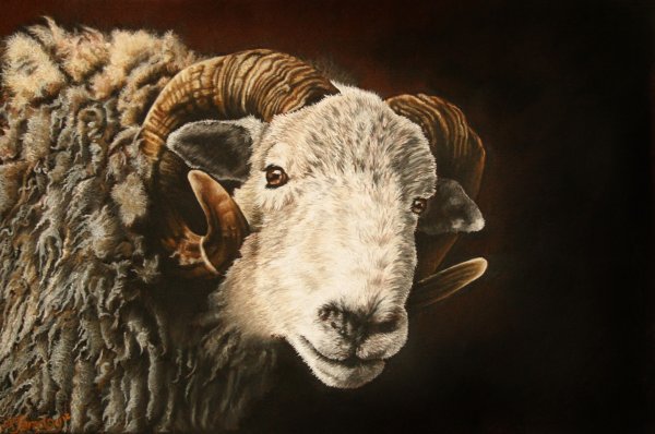 Портрет барана