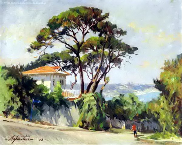 Пейзажи турецких художников