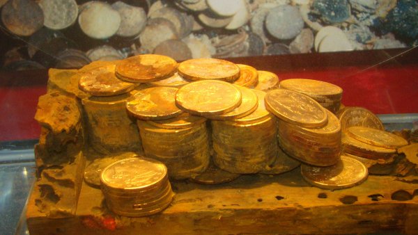 Денежное дерево с деньгами