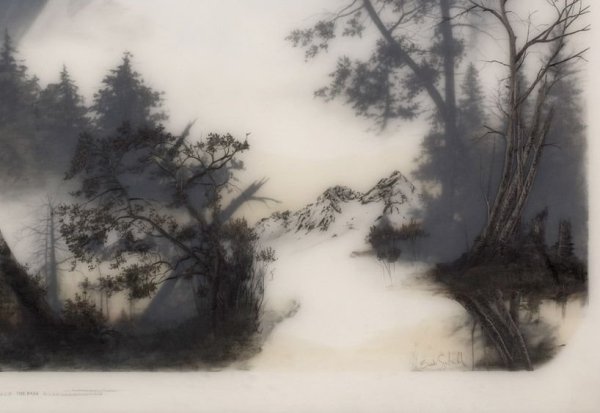 Брукс Шейн Зальцведель