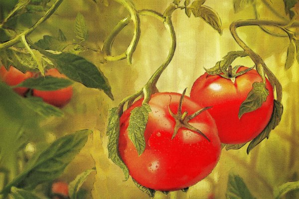 Ксения Берестова художник