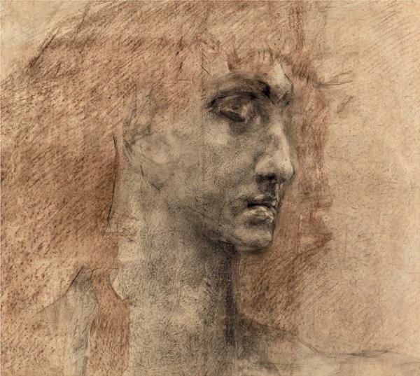 Этюд головы человека в технике гризайль