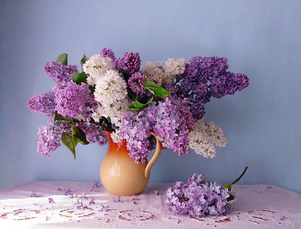 Ветка сирени в вазе