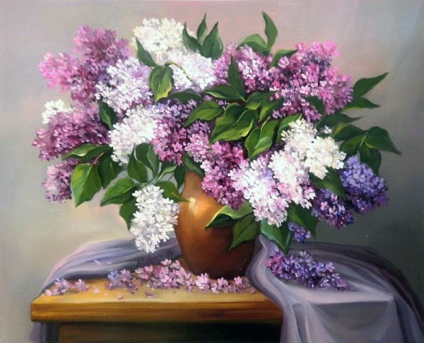 Анка Булгару (anca Bulgaru)