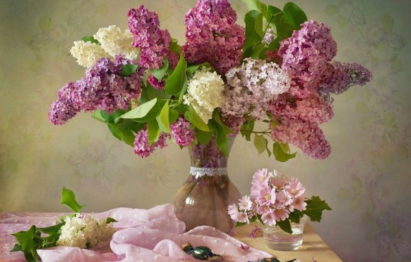 Сирень Николай Михайлов