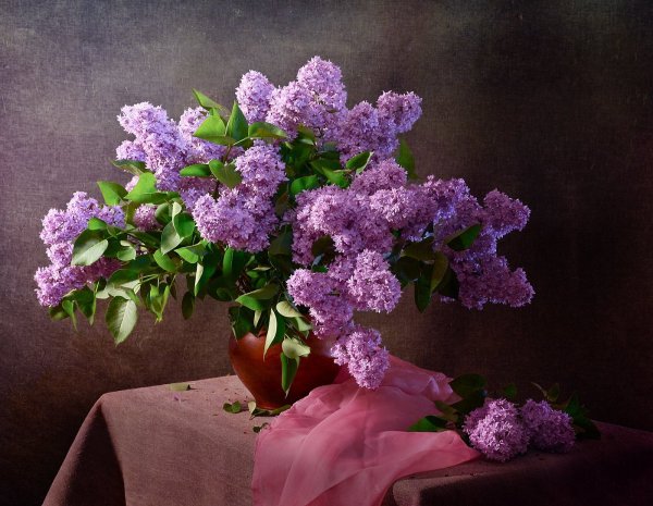 Мельников Александр живопись сирень