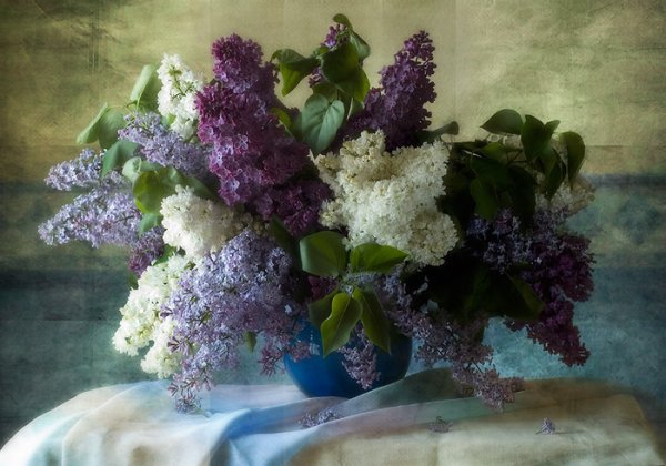 Сирень в фотонатюрморте