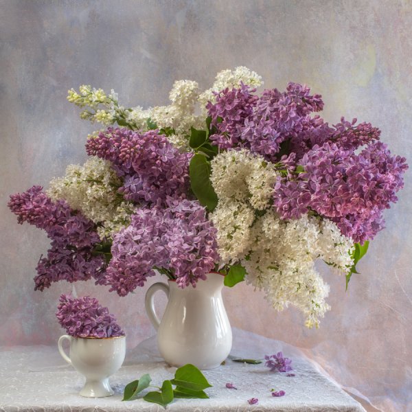 Картины Бориса Щербакова сирень