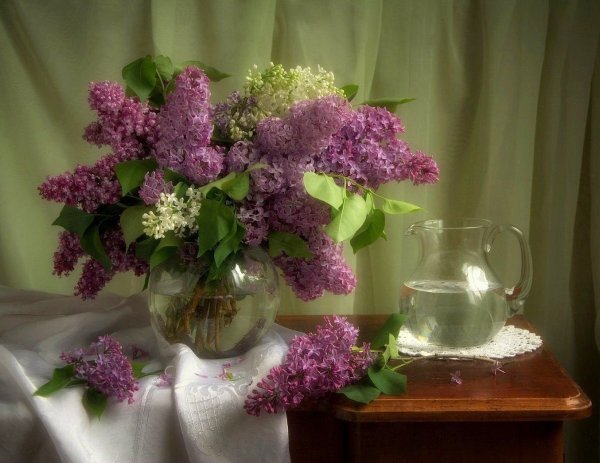 Картины в рамках сирень