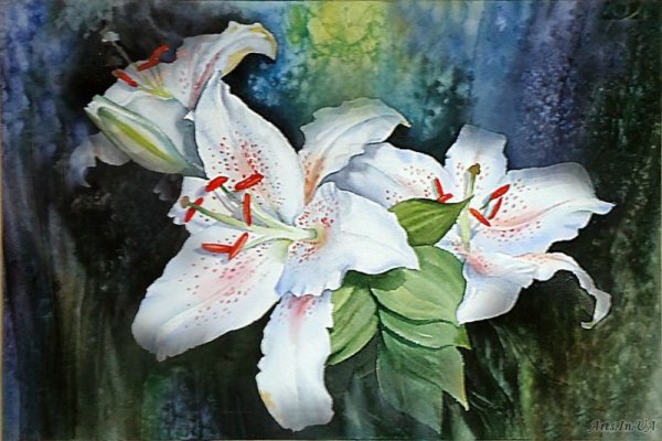 Магдалена Мюррей художник лилии