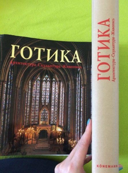 Книга Готика архитектура скульптура живопись