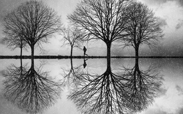 Отражение в воде