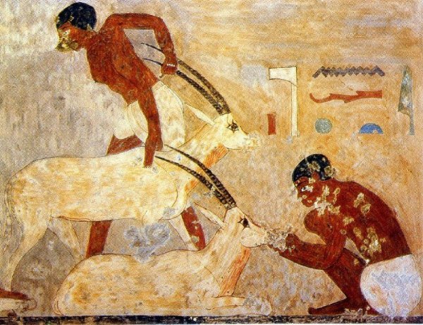 Гробница Хнумхотепа II В Бени-Хасане