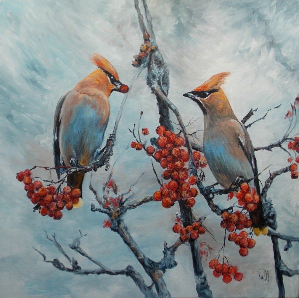 Свиристель картина живопись акварель