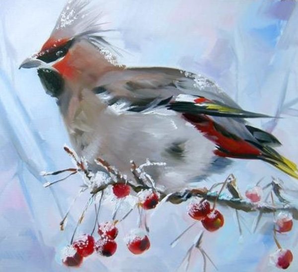 Свиристель птица акварель