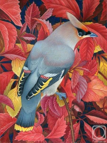 Свиристель картина