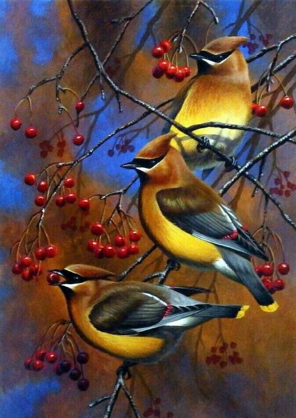 Картина свиристели