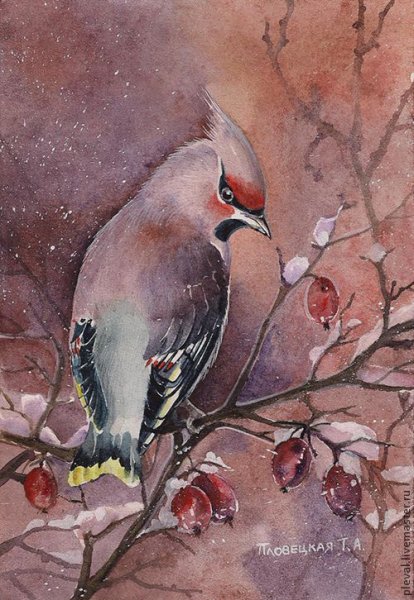 Свиристель стилизация