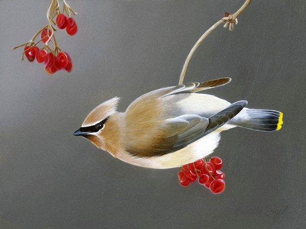 Художница Елизавета мелкозёрова