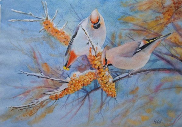 Птицы художника Basil Ede