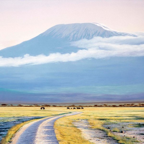 Парк Килиманджаро Жирафы