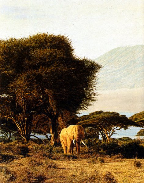 Килиманджаро арт