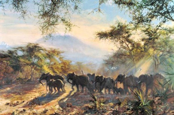 Заповедник Амбосели Кения климат