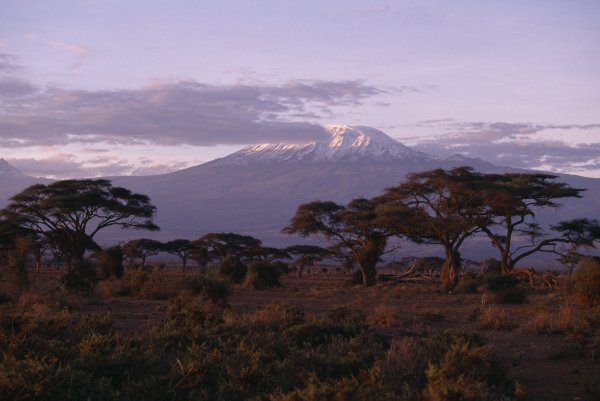 Африканская живопись Масаи