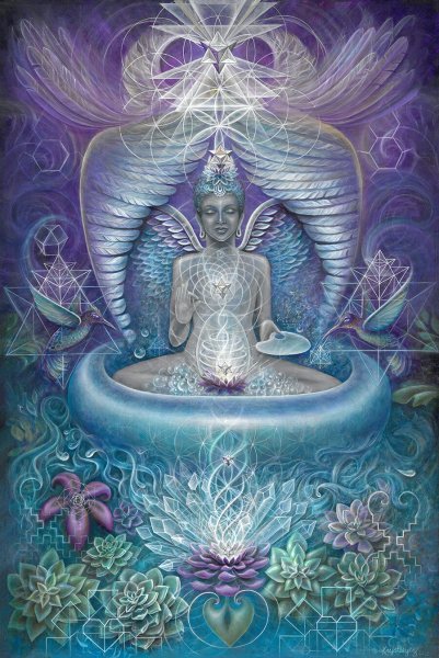 Лотос виженари