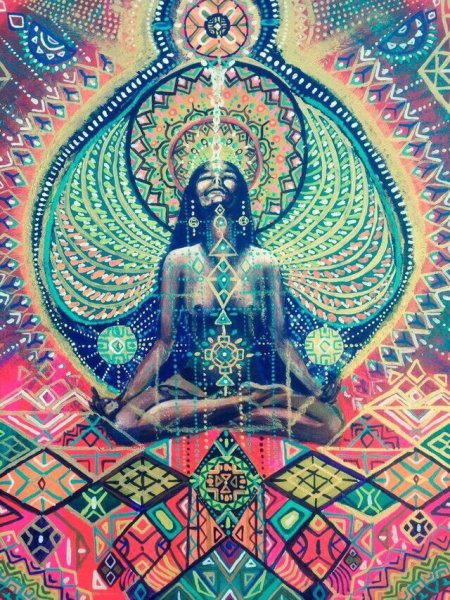 Шакти виженари