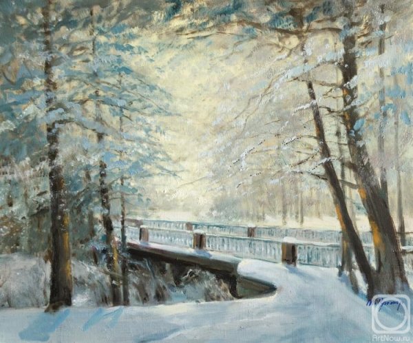 Картина зимой в парке