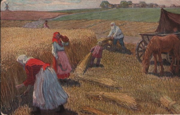 Василий Бакшеев жатва