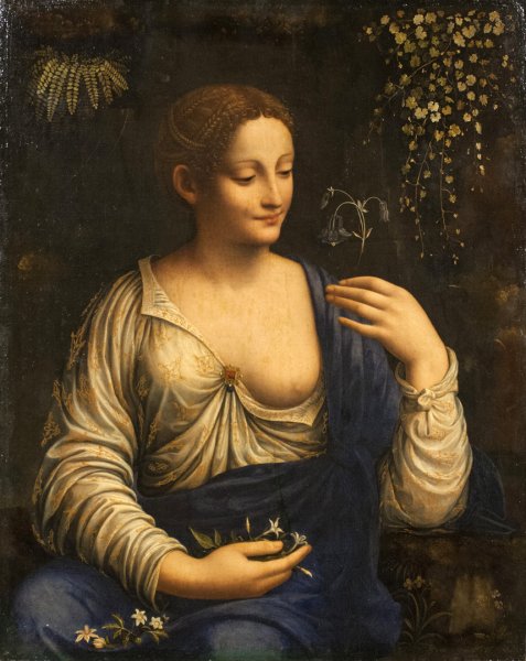 Франческо Мельци Флора